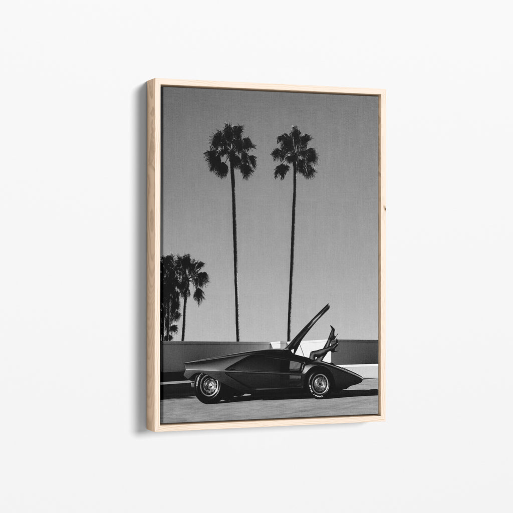 Palm Dreams