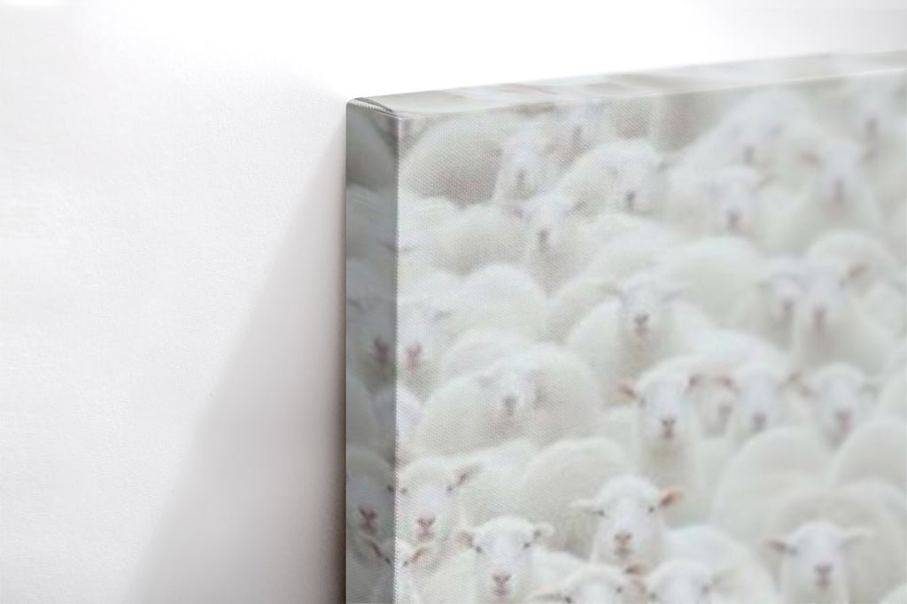 Close-up λεπτομέρεια της εκτύπωσης καμβά Black Sheep.