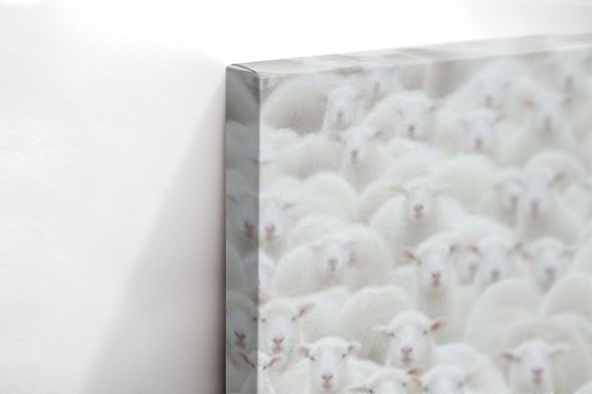 Close-up λεπτομέρεια της εκτύπωσης καμβά Black Sheep.