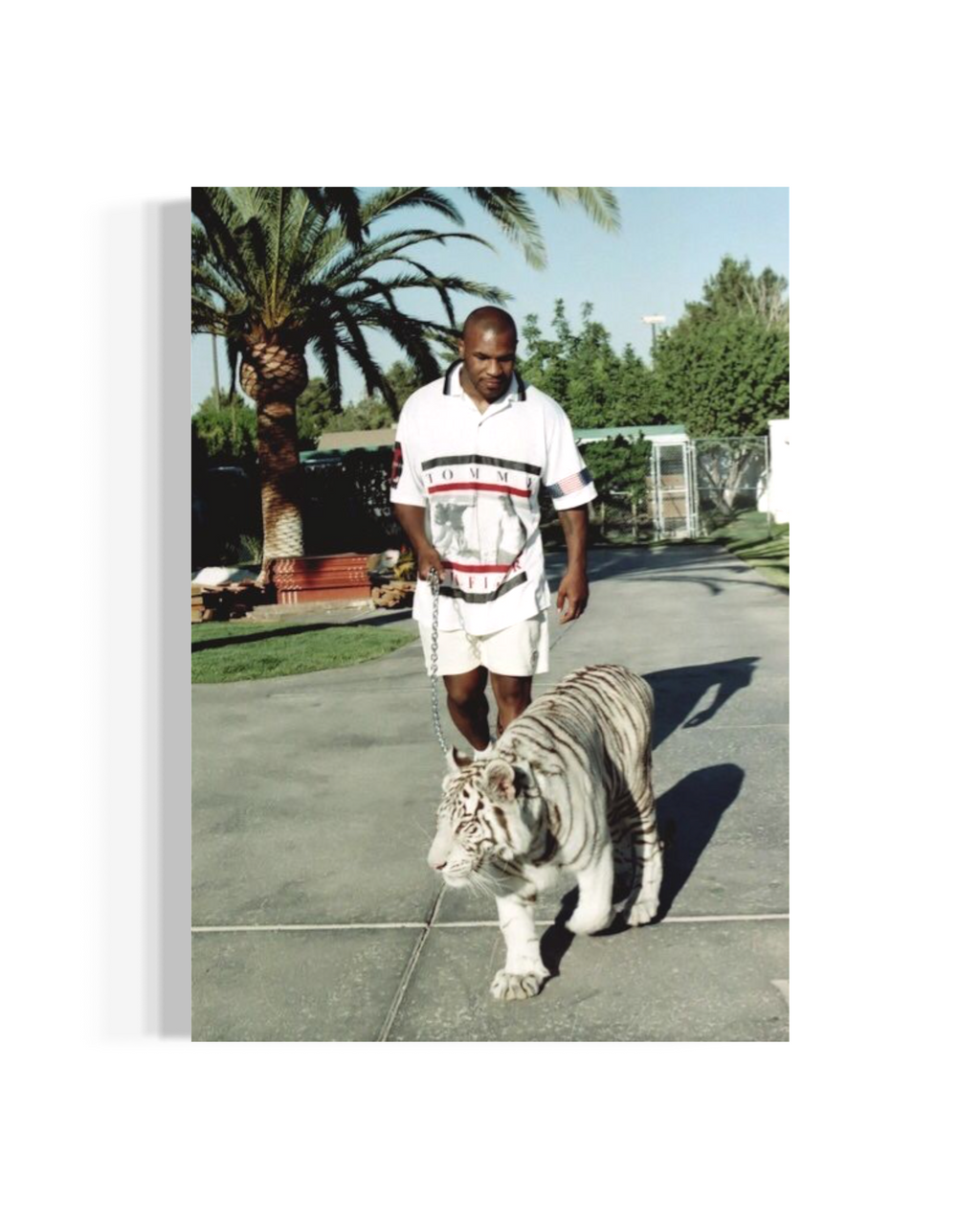 Walk The Tiger - Tyson