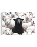 Black Sheep - Horizontal