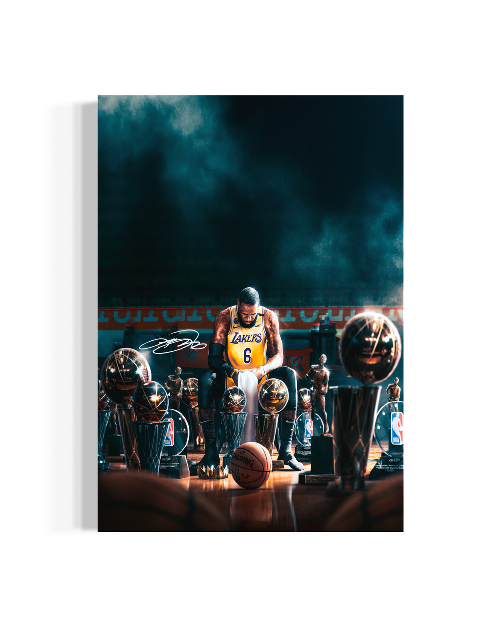 LeBron James - Trophies