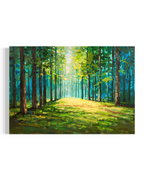 Forest Light