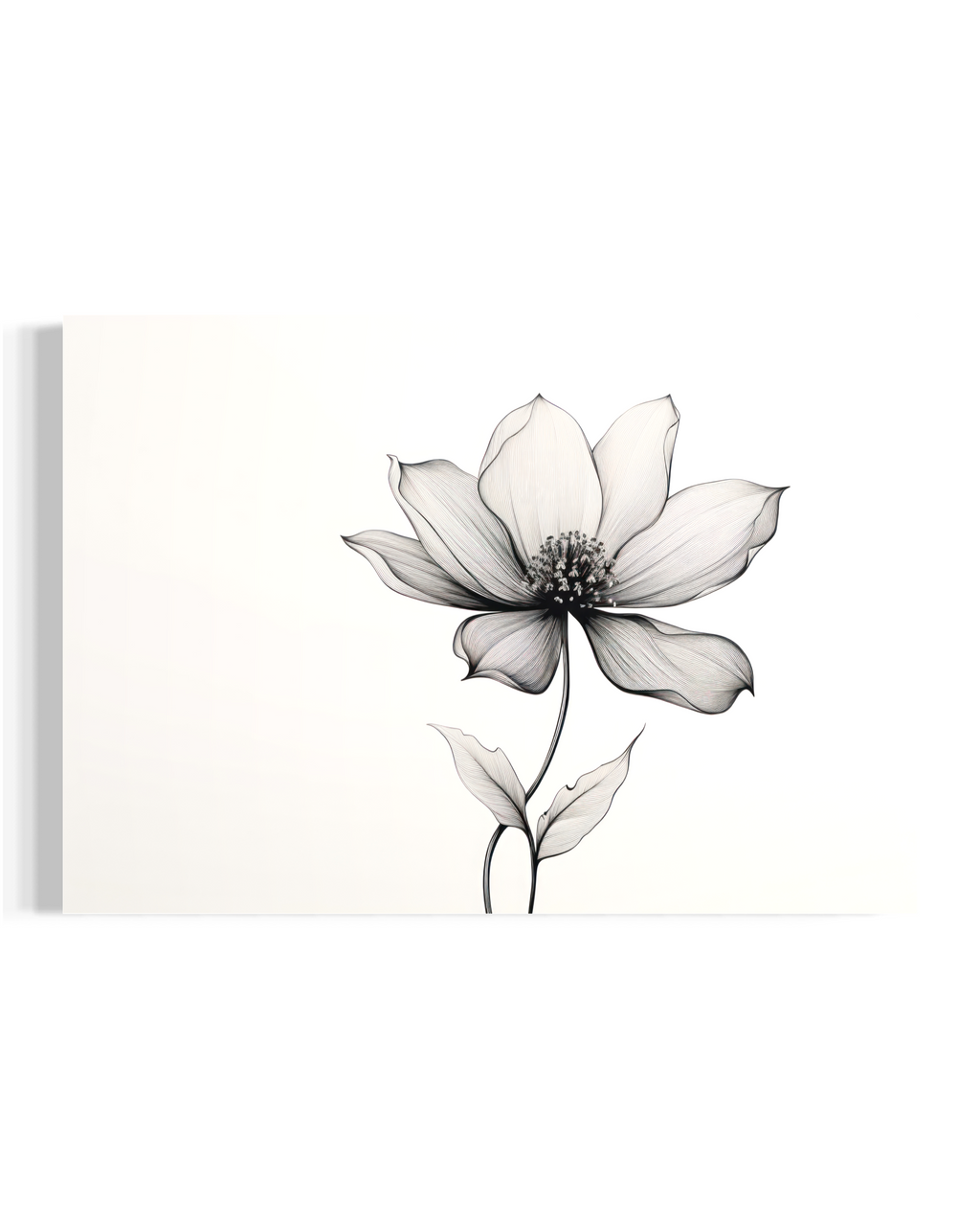 Bloom in Silence