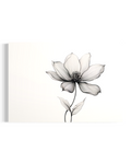 Bloom in Silence