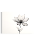 Bloom in Silence