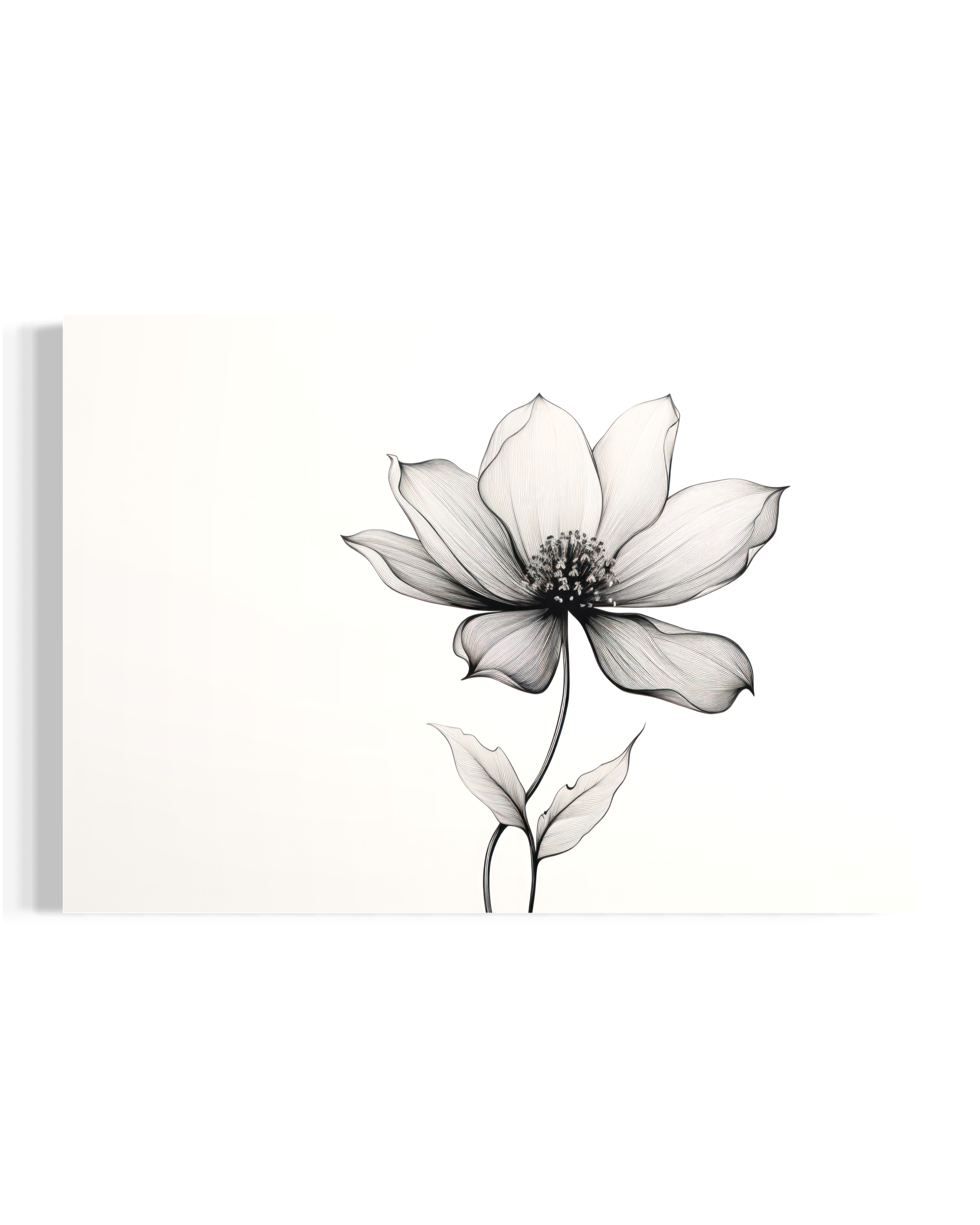 Bloom in Silence