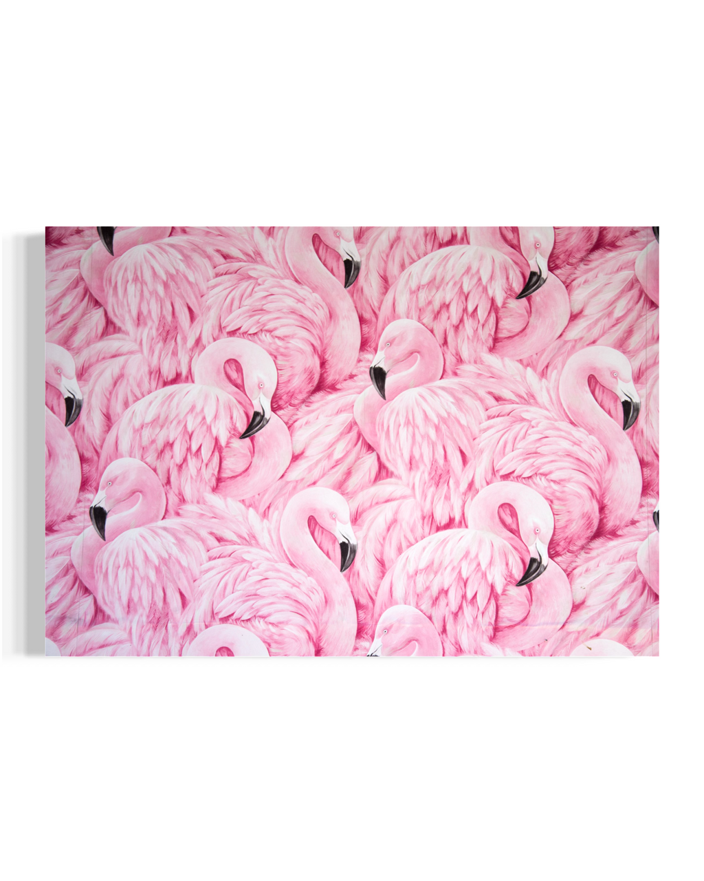 Pink Flamingos