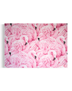 Pink Flamingos