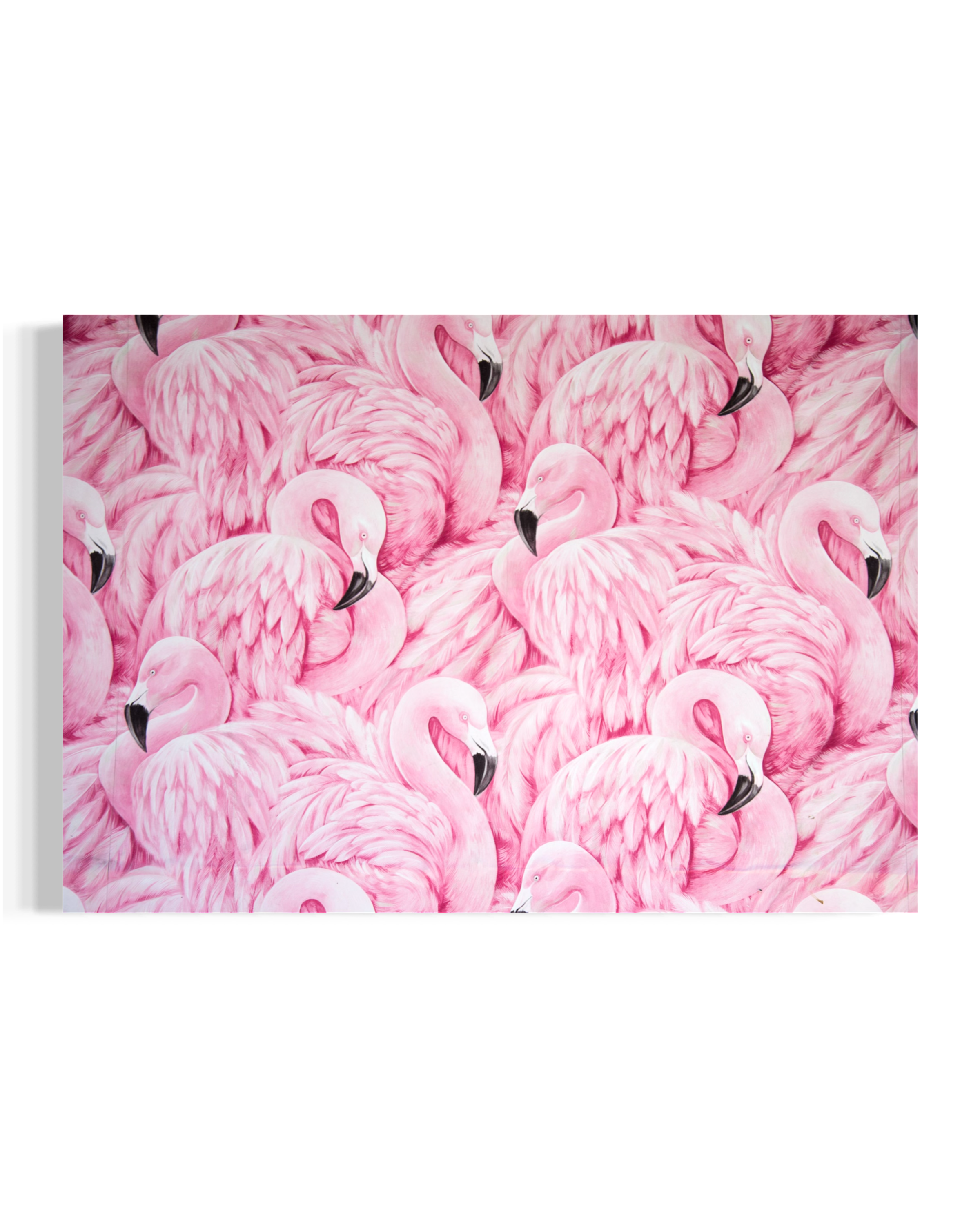 Pink Flamingos
