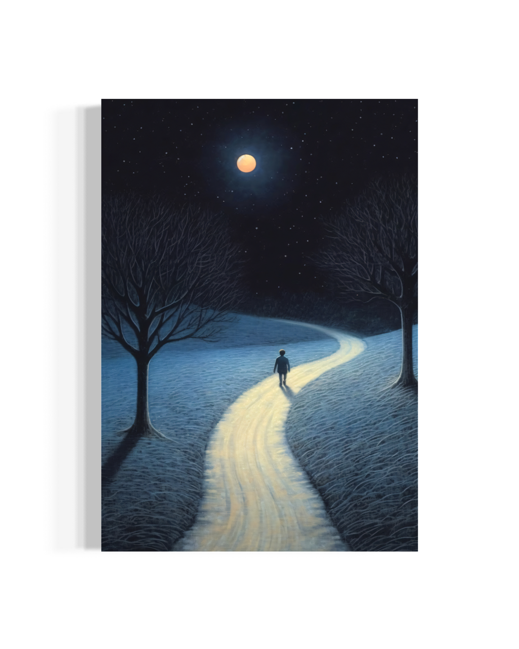 Moonlit Path