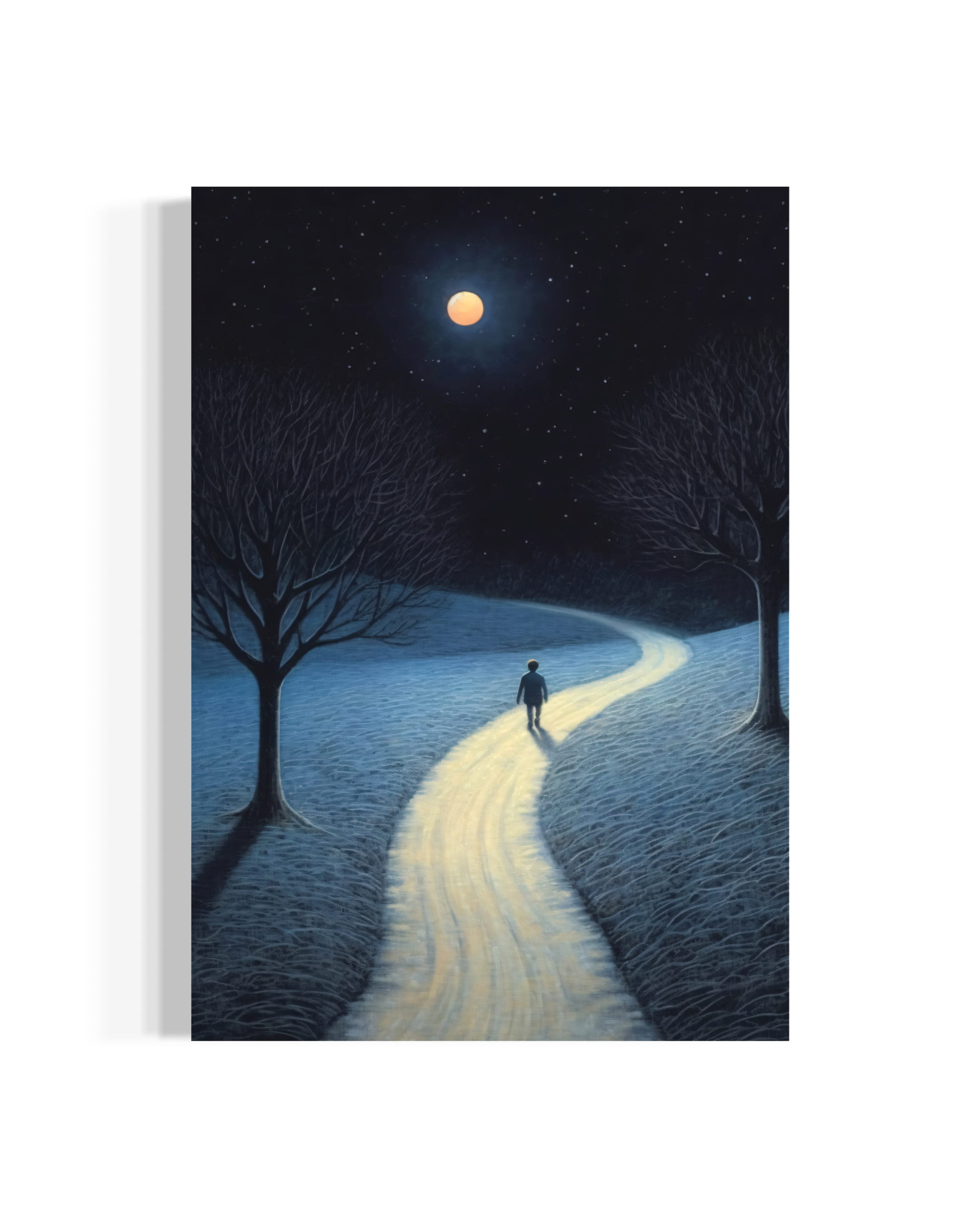 Moonlit Path