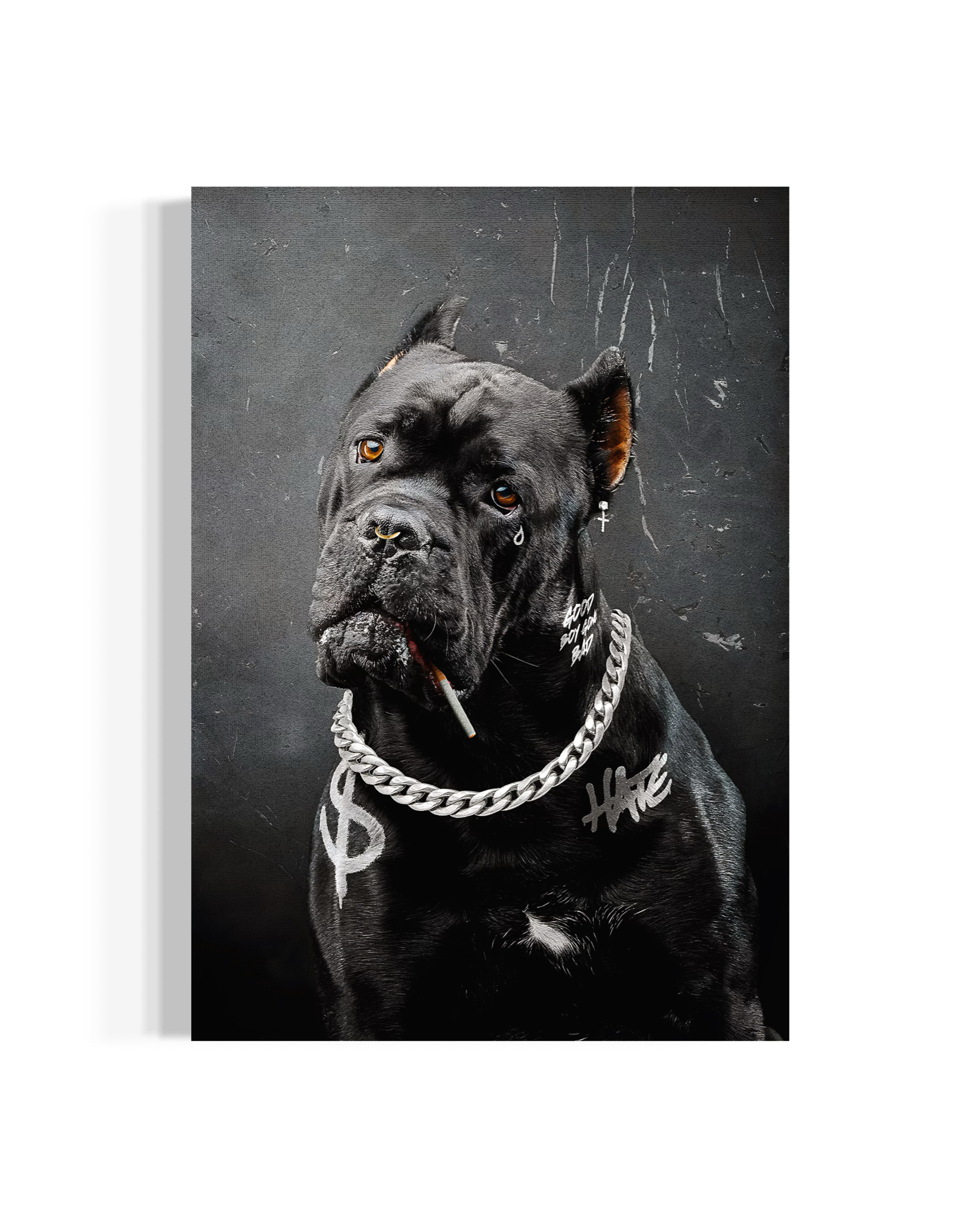 Bad Boy