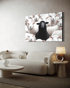Black Sheep - Horizontal
