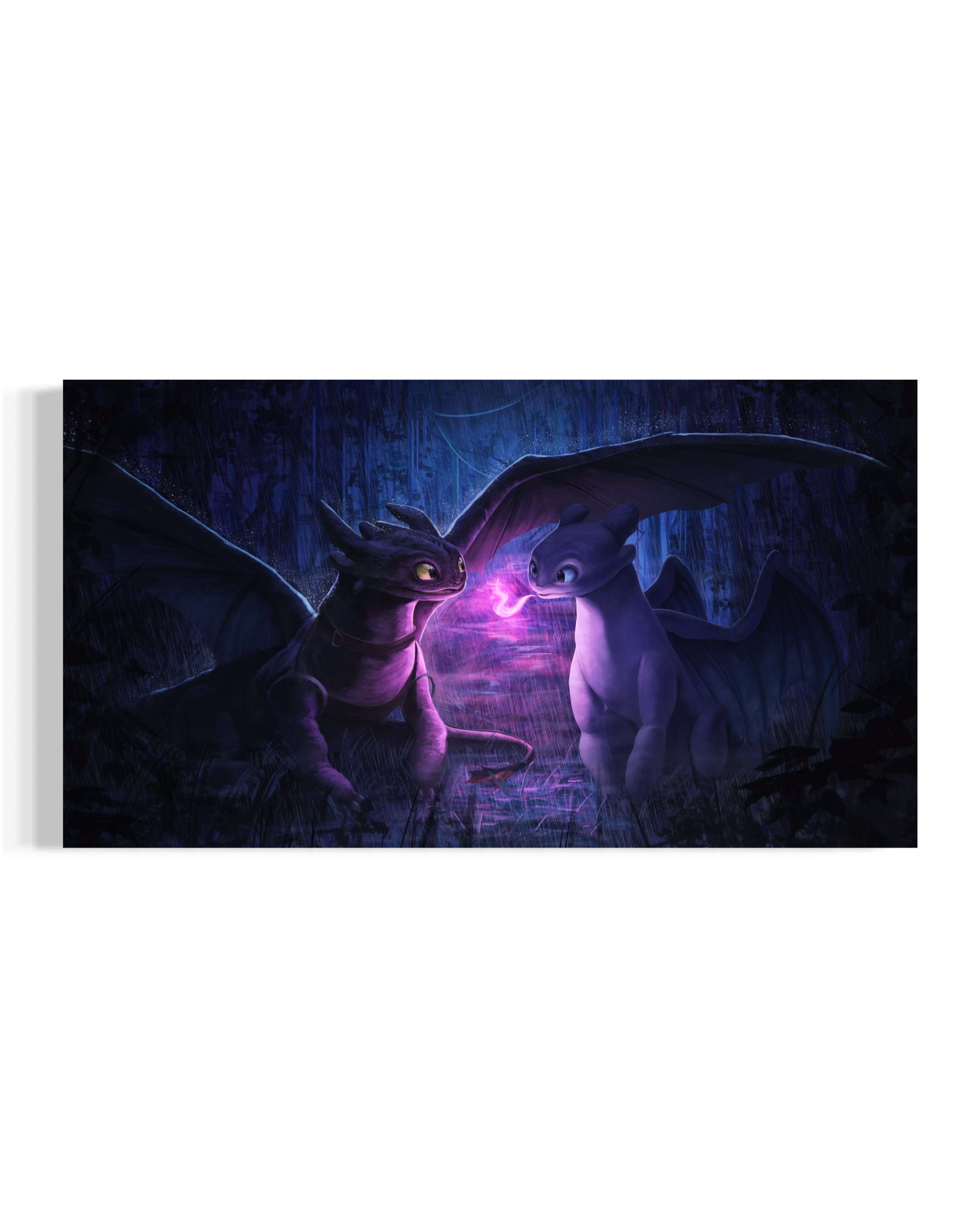 Toothless & Light Fury – How to Train Your Dragon