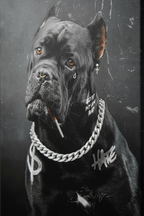 Close-up Bad Boy canvas