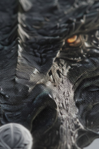 Close-up Detail Game of Thrones Canvas