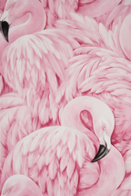 Close-up Flamingos canvas