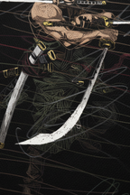 Close-up Zoro canvas