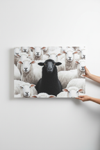 Hands holding Black Sheep canvas