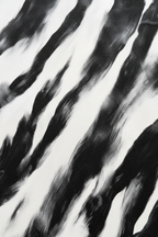 Macro close-up Zebra Stripes canvas